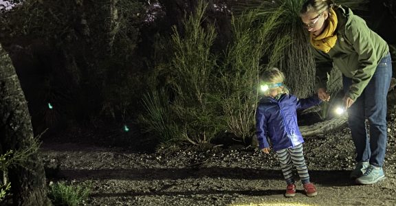 Adult and child viewing a nocturnal animal by torchlight in the Australian bush